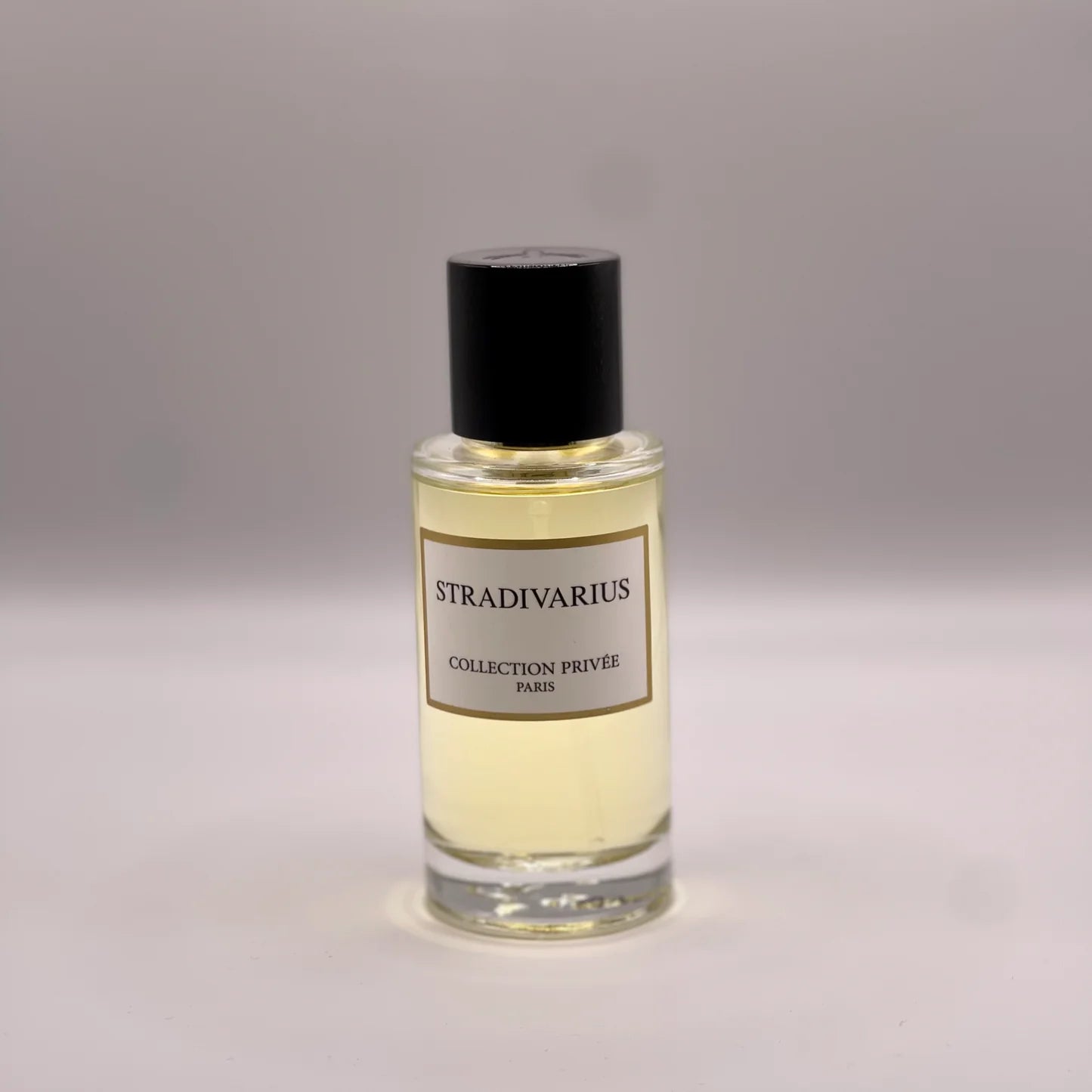 CP Stradivarius - Convivium paris